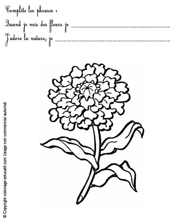 exercice-nature-fleurs63.gif