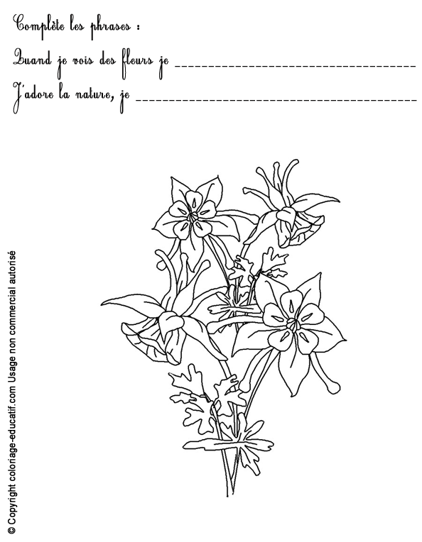 exercice-nature-fleurs65.gif
