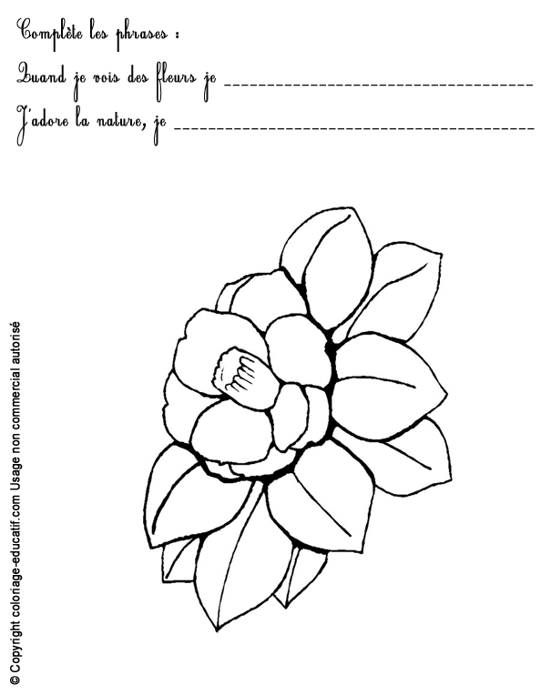 exercice-nature-fleurs66.gif