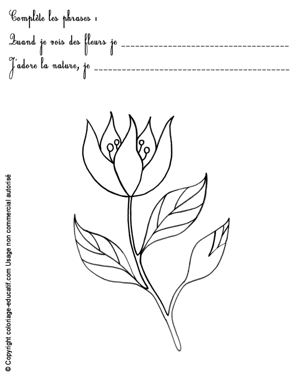 exercice-nature-fleurs8.gif