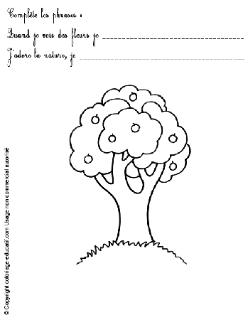 exercice-nature-fleurs46.gif