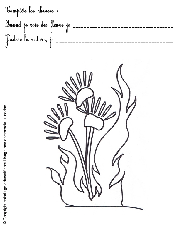 exercice-nature-fleurs49.gif