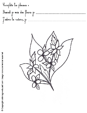 exercice-nature-fleurs52.gif