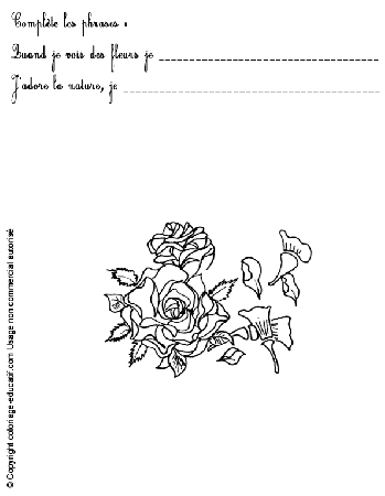 exercice-nature-fleurs60.gif