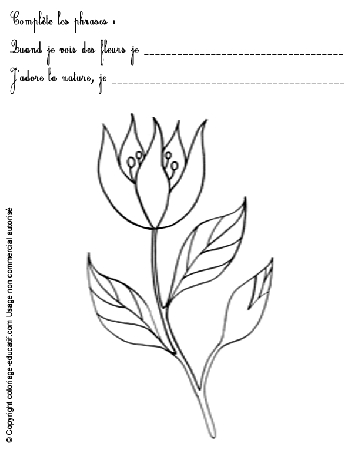 exercice-nature-fleurs62.gif