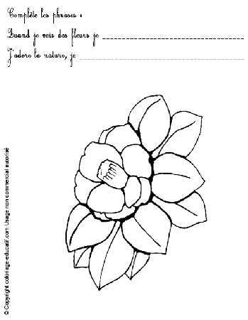 exercice-nature-fleurs66.gif