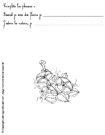exercice-nature-fleurs68.gif