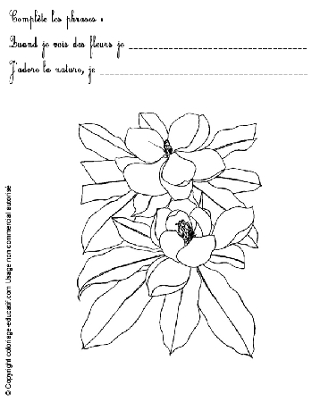 exercice-nature-fleurs69.gif