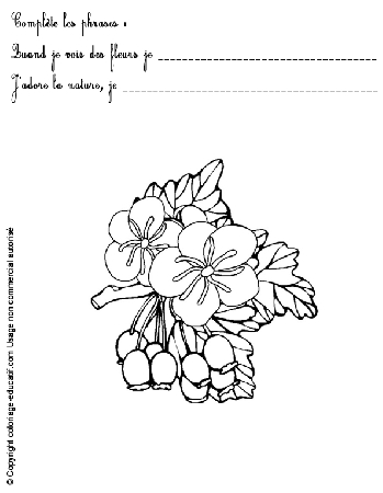 exercice-nature-fleurs72.gif