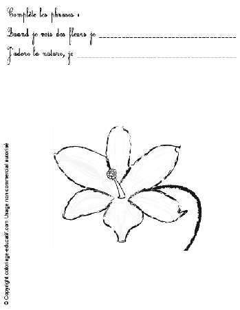 exercice-nature-fleurs73.gif