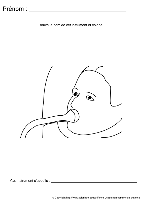 instrumentdemusique231.gif
