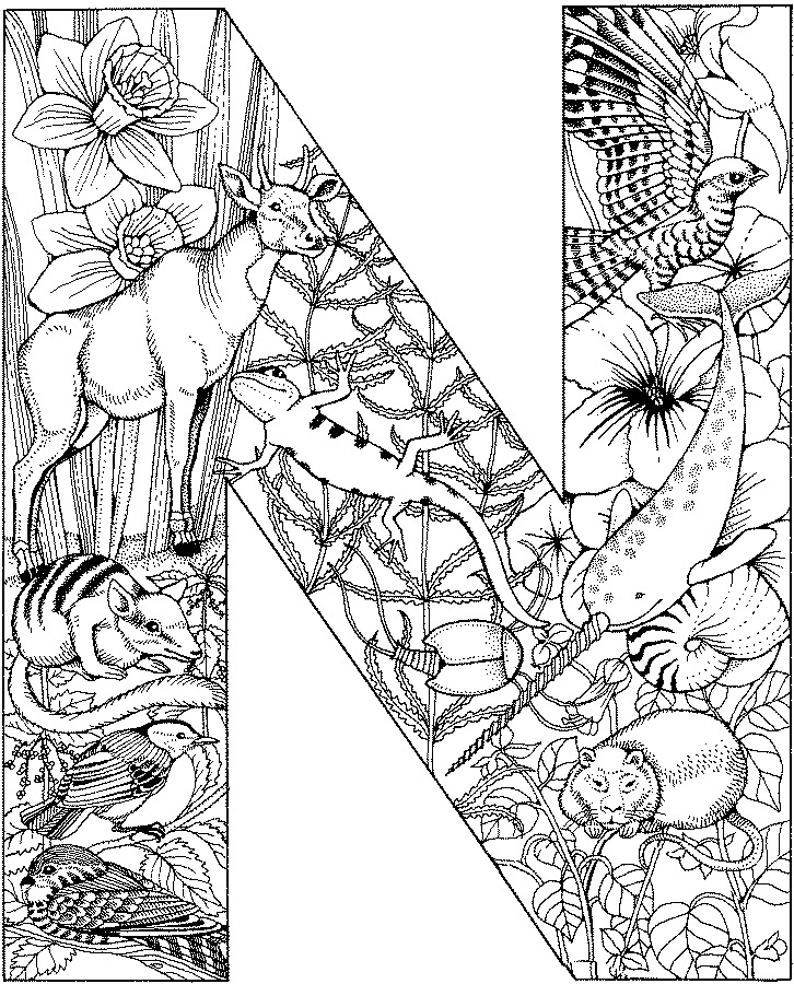 animauxdanslettre_coloriagealphabet__N.jpg