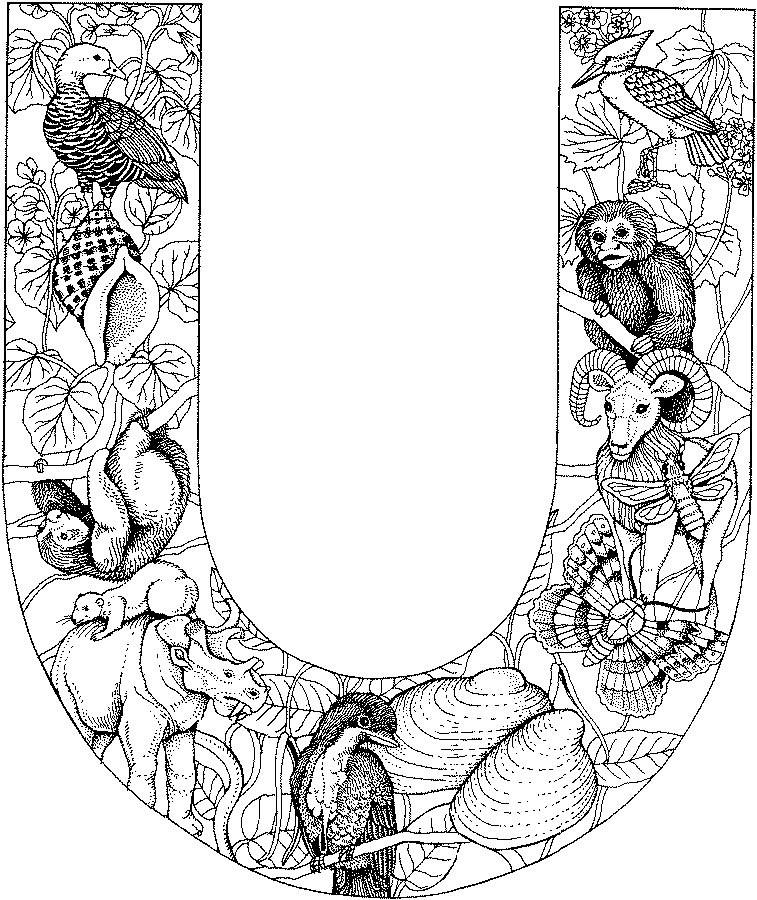 animauxdanslettre_coloriagealphabet__U.jpg