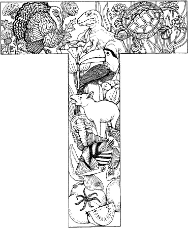 animauxdanslettre_coloriagealphabet__T.jpg