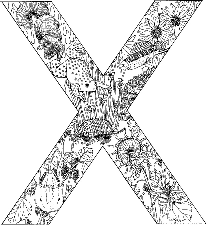 animauxdanslettre_coloriagealphabet__X.jpg
