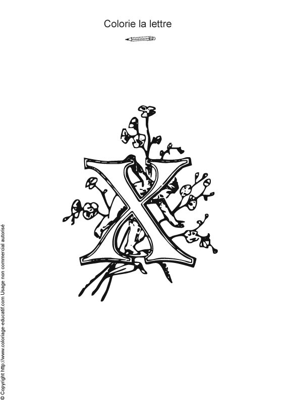alphabet-coloriage24.gif