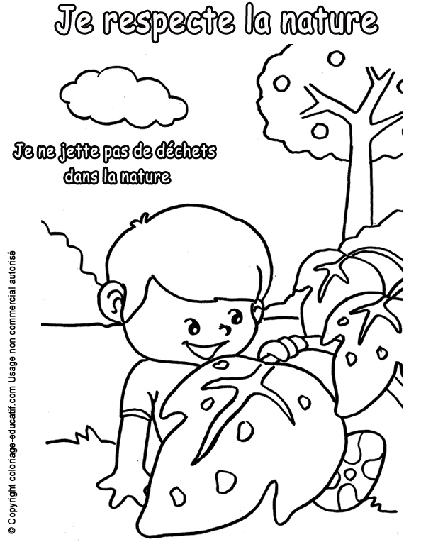 dechets-nature.gif