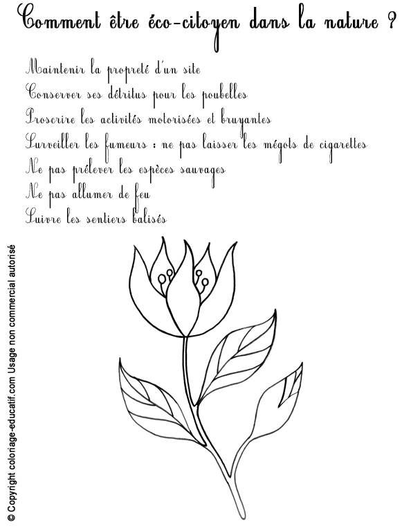 gestes-ecocitoyen-nature.gif