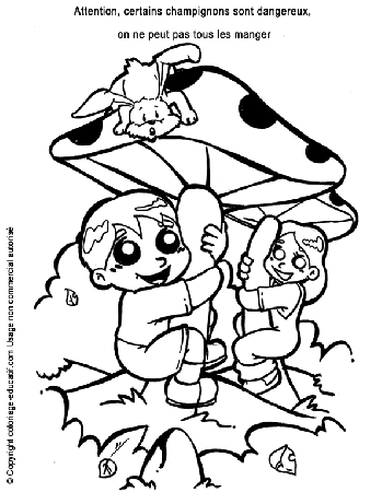 champignons-foret-dangereux.gif