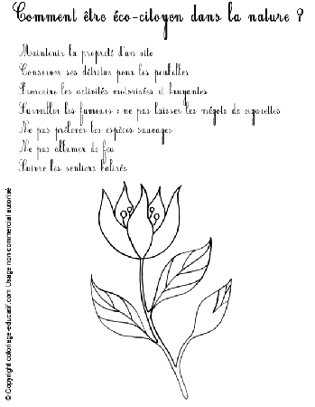 gestes-ecocitoyen-nature.gif