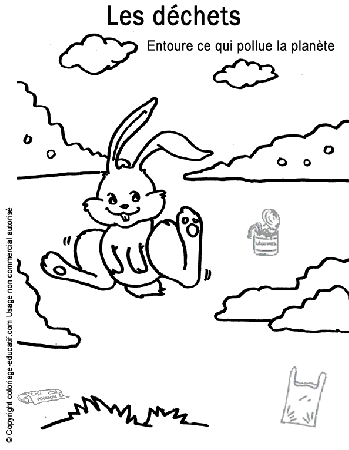 pollution-dechets-lapin-nature.gif