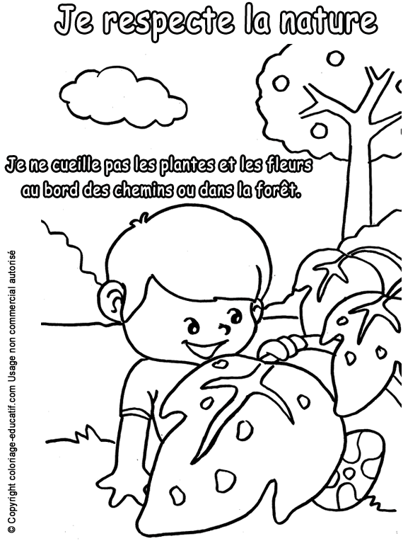 respect-foret.gif