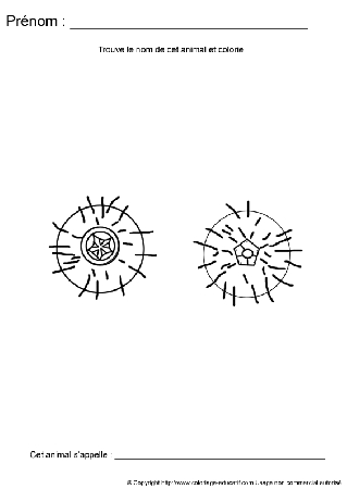 ecriture-nom-animal363.gif