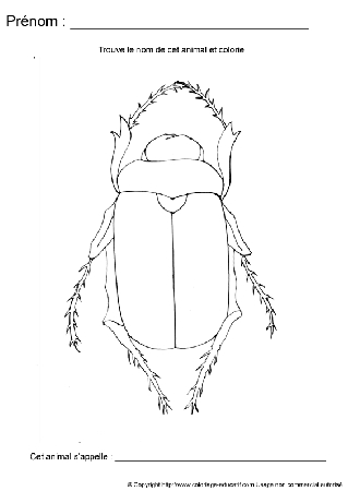 ecriture-nom-animal423.gif