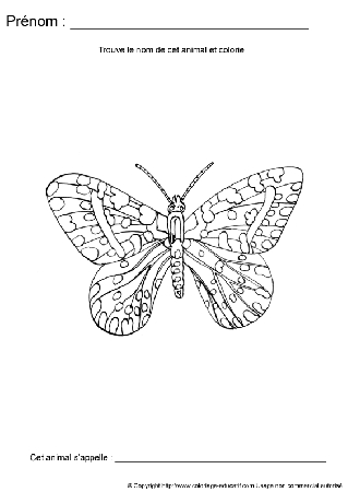 ecriture-nom-animal445.gif