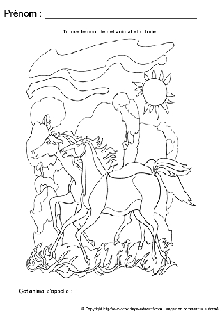 ecriture-nom-animal525.gif