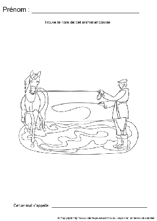 ecriture-nom-animal544.gif