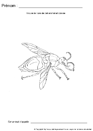 ecriture-nom-animal556.gif
