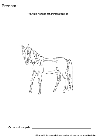 ecriture-nom-animal572.gif