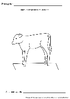 ecriture-nom-animal625.gif