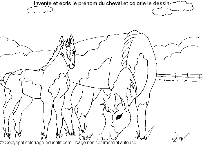 colorier-cheval-apprendre-prenom-18.gif