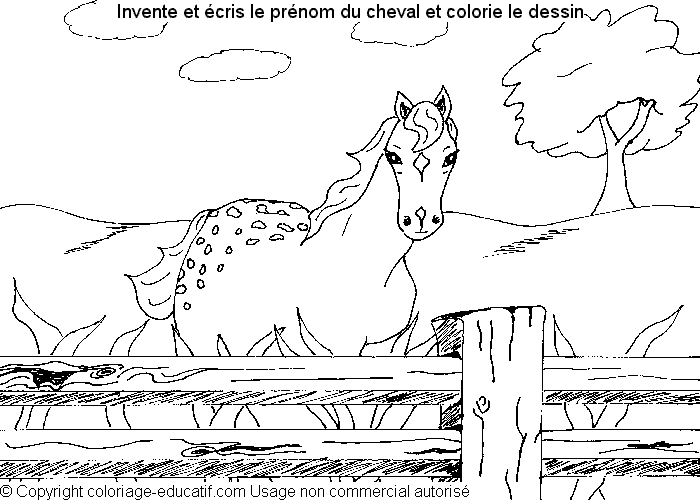 colorier-cheval-apprendre-prenom-34.gif
