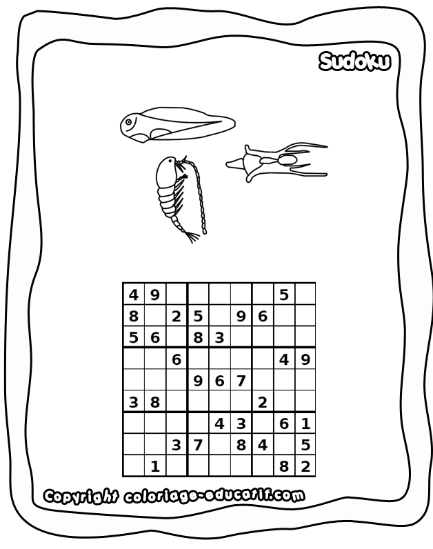 colorier_sudoku_facile_anim369.gif