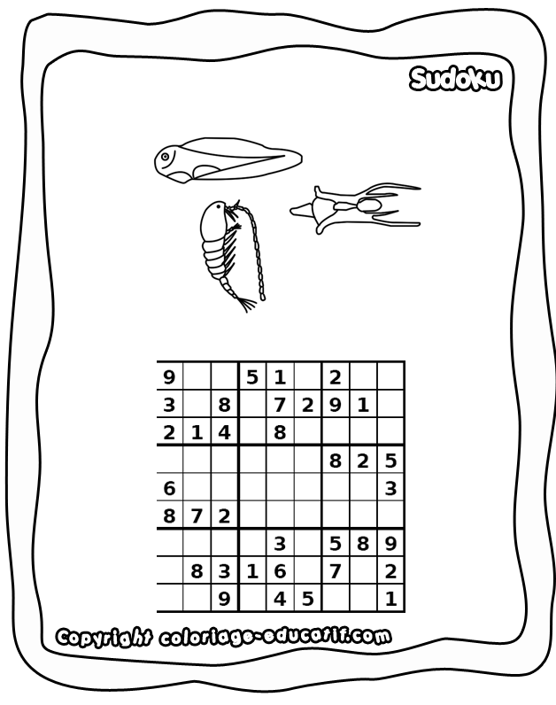 colorier_sudoku_facile_anim690.gif
