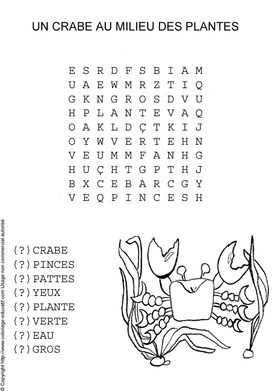 fichemotmeleuncrabeaumilieudes_plantes.gif