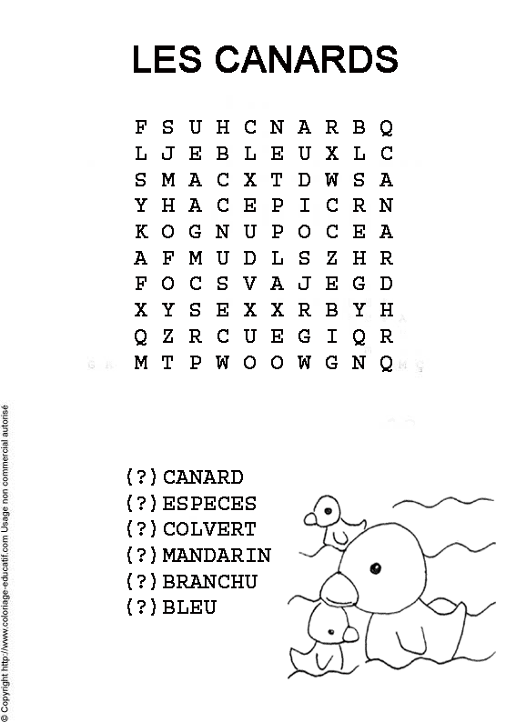 mots_meles_les_canards.gif