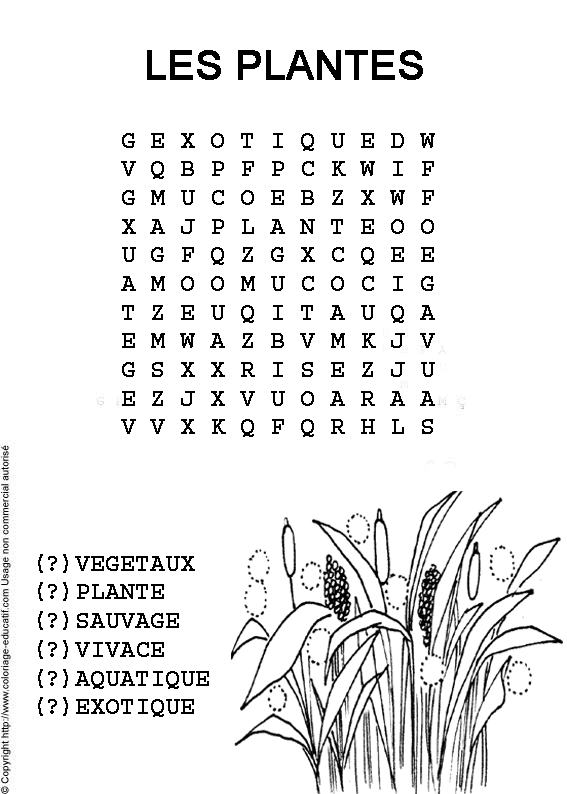 mots_meles_les_plantes.gif