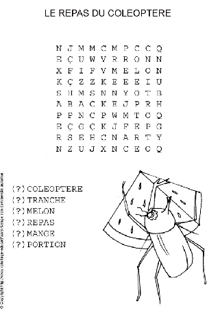 fichemotmelelerepasducoleoptere.gif