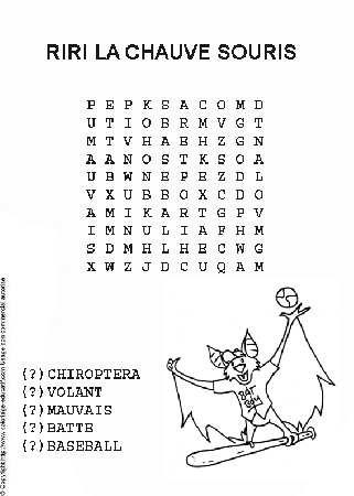 mots_meles_Riri_la_chauve_souris.gif