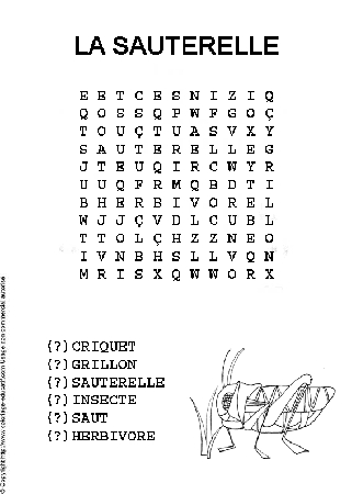 mots_meles_la_sauterelle.gif
