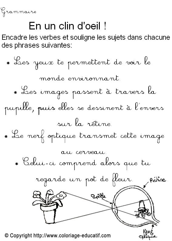 Fiche_grammaire7.jpg