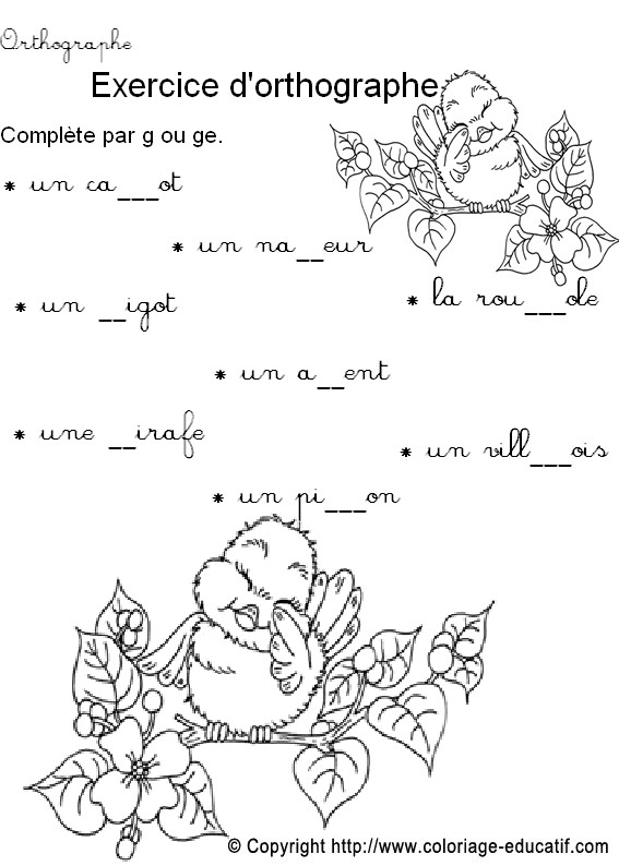 Fiche_orthographe39.jpg