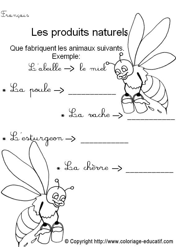 Fiche_vocabulaire10.jpg