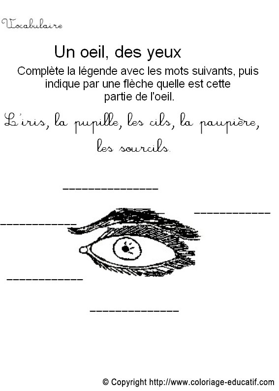 Fiche_vocabulaire12.jpg