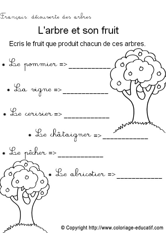 Fiche_vocabulaire6.jpg
