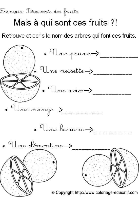 Fiche_vocabulaire8.jpg